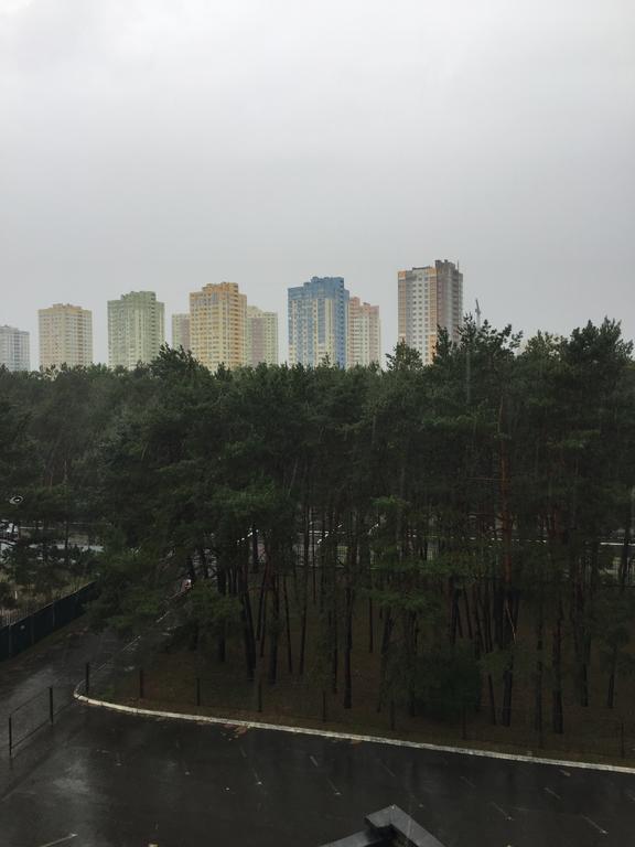 Hostynnist Kiev